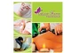 Logo de Cássia France Massoterapeuta 